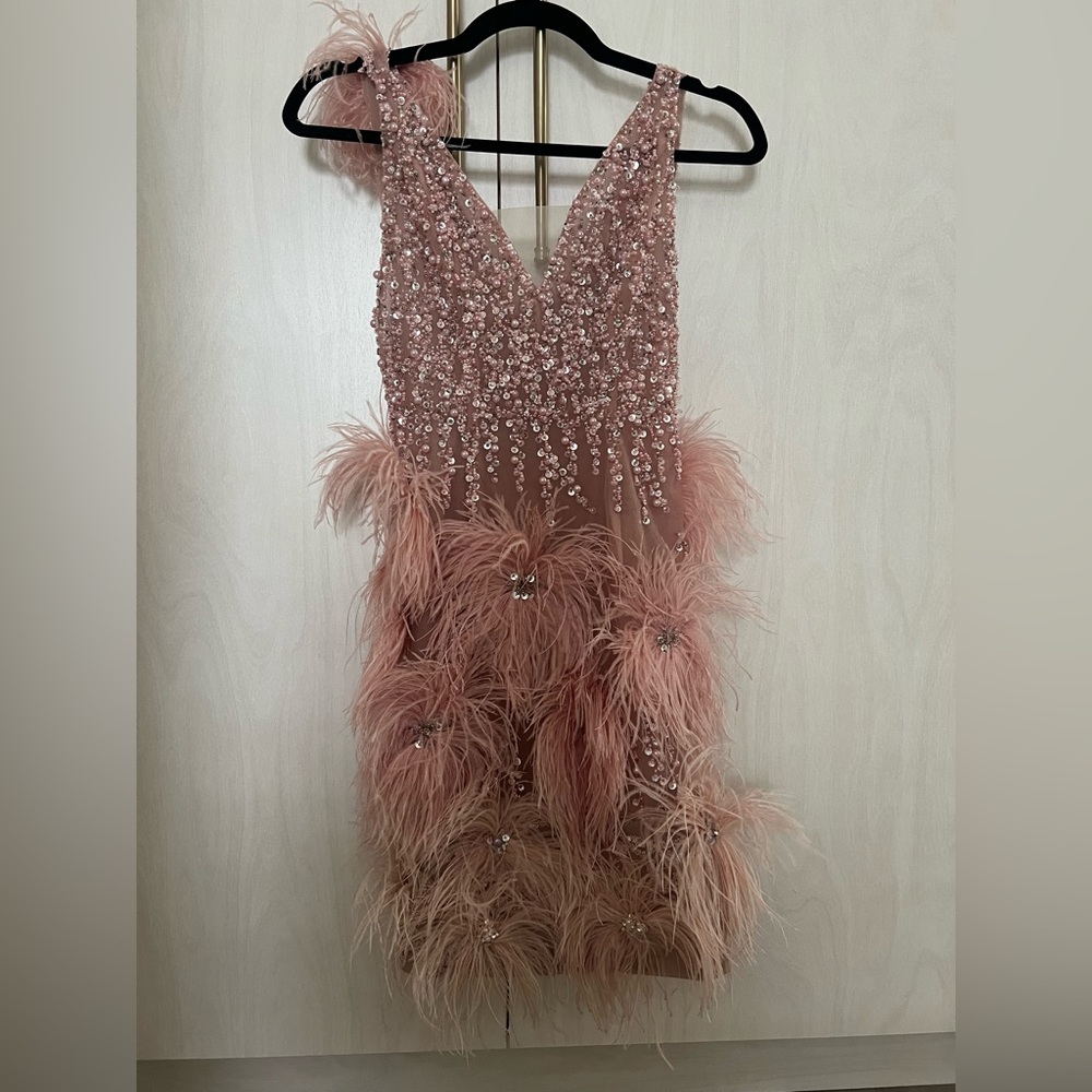 Chic Feather Embellished Mini Dress in Blush